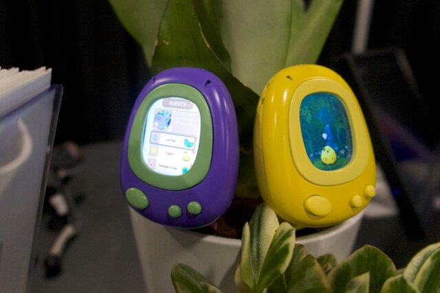 معرفی دستگاهی برای زنده نگه داشتن گیاهان خانگی