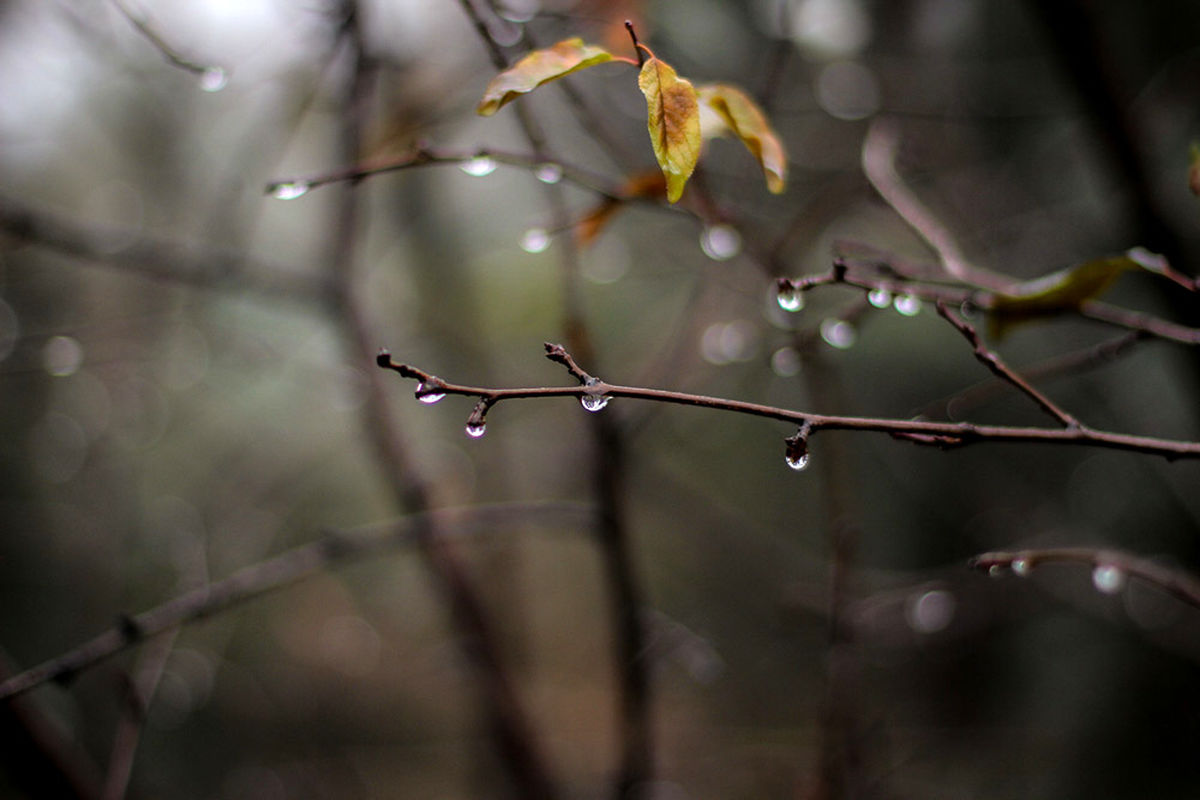 پیش‌بینی تداوم یخبندان در یزد تا پایان هفته